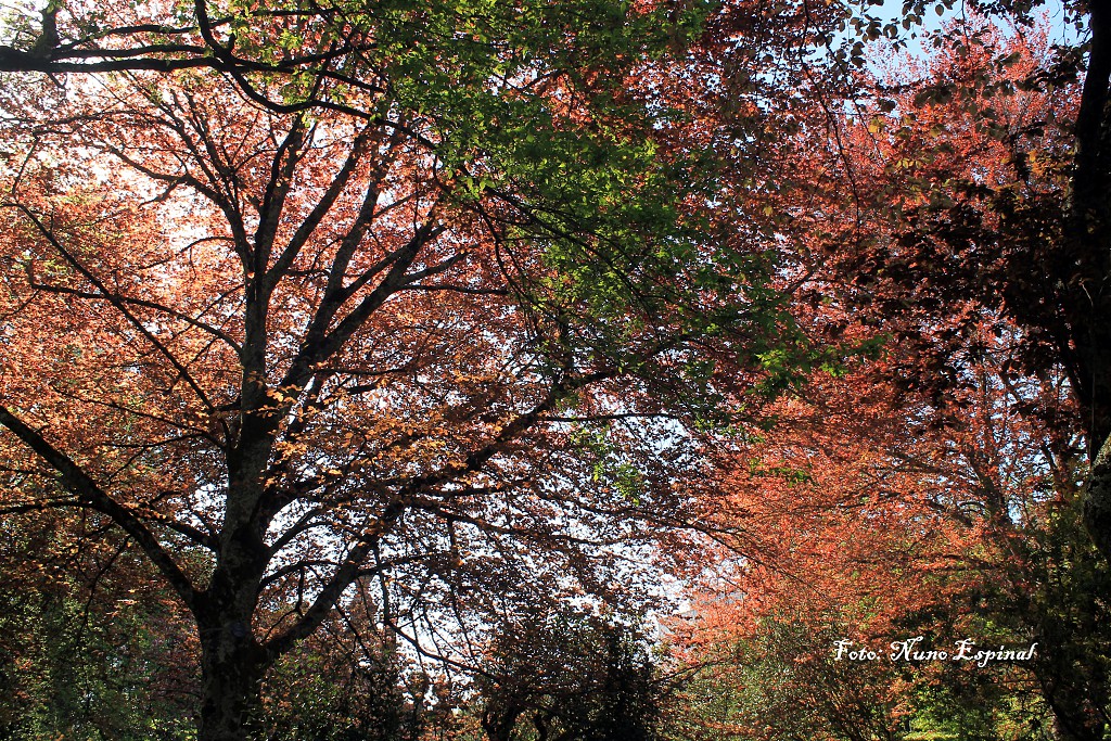 santa cruz 2018 032.JPG santa cruz 2018 032.JPG